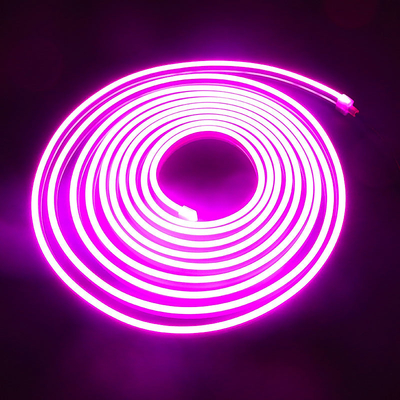 Het waterdichte van LEIDEN van 24V 12V SMD RGB de Kleur Neonflex light Veranderen