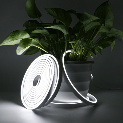 20×10mm LEIDEN Neon Buigen licht, Waterdichte Buigenibele het Neonlichtkabel van IP67