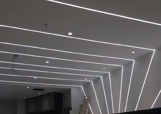 Buigenibele LEIDENE Siliconebuis 12×12mm voor Neon LEIDENE Lichtenoem ODM
