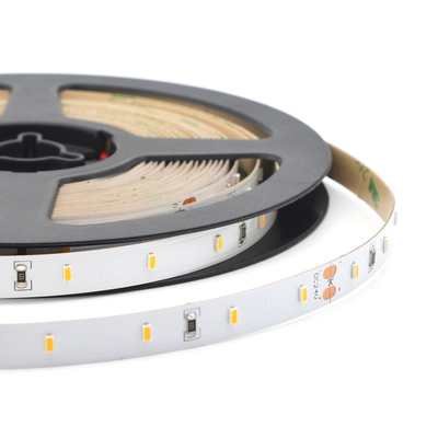 Witte LEIDENE van SMD 3014 Strook, Buigenibele LEIDENE van IP20 SMD Strooklichten 120 LEDs/M