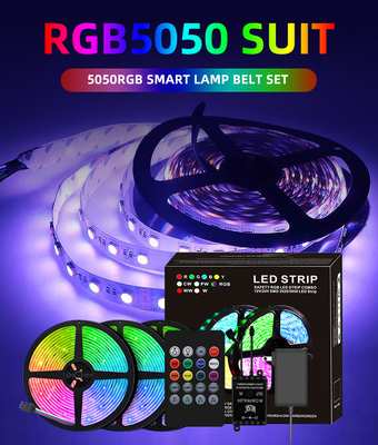 RGB LEIDENE van Bluetooth APP Controle 5050 Strook Waterdicht voor Binnen Openluchtdecoratie