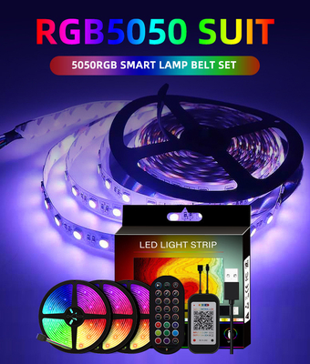 Slimme LEIDENE van USB 5V Strooklichten 5050 RGB Kleur voor TV-Certificaat het Achtergrond van Ce